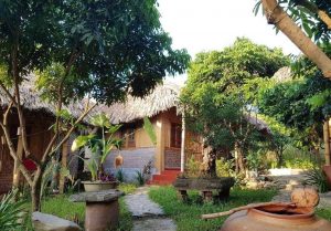 Sân vườn phong cách Farmstay: Trải nghiệm vẻ đẹp tự nhiên